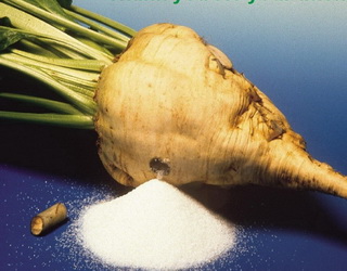 Вітчизняні цукрозаводи виробили понад 483 тис. тонн цукру